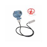 MPT431 input type dual function temperature and liquid level sensor-MANYYEAR TECHNOLOGY